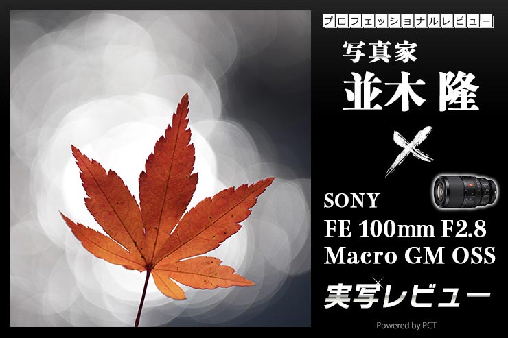 SONY FE 100mm F2.8 Macro GM OSS × 写真家 並木 隆 | オールマイティーさも兼ね備えるGマスターシリーズ初のマクロレンズ！キービジュアル