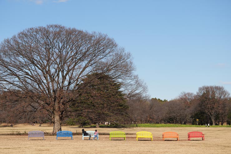 FE 100mm F2.8 Macro GM OSS作例：色とりどりのベンチのある公園