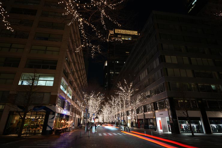 SIGMA 20-200mm F3.5-6.3 DG  | Contemporary作例：イルミネーション