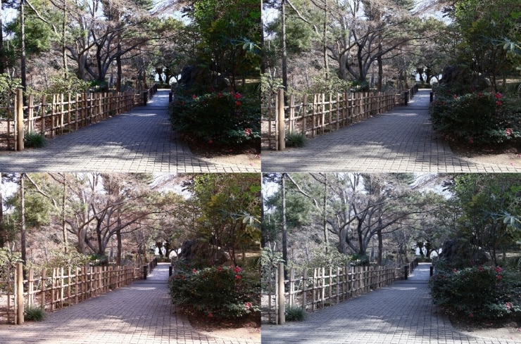 クリエイティブブラケットの画像