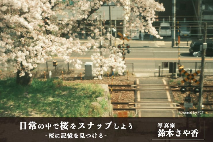 日常の中で桜をスナップしよう × 写真家 鈴木さや香 | 桜に記憶を見つけるキービジュアル