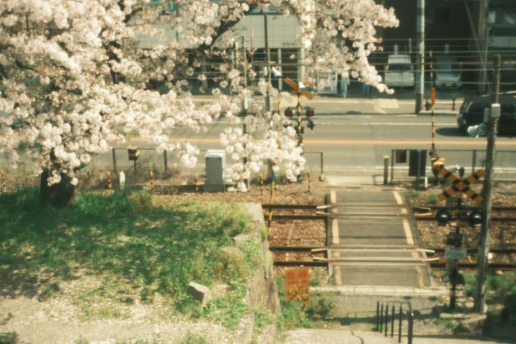 踏切と桜