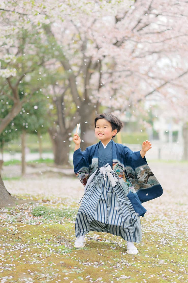 桜吹雪の中の七五三の男児
