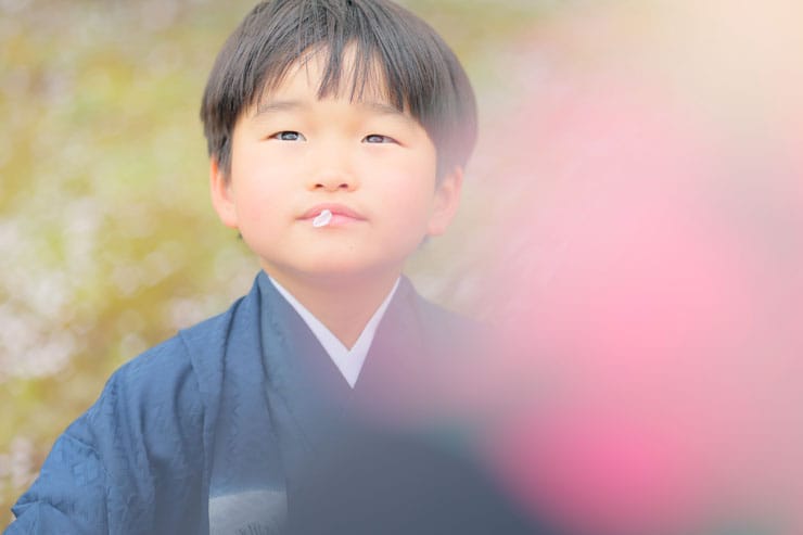 桜と七五三の男児