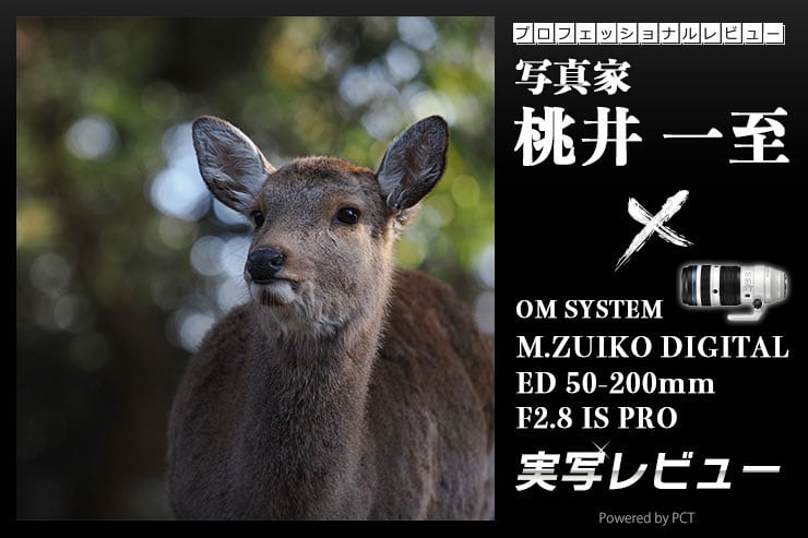 OM SYSTEM M.ZUIKO DIGITAL ED 50-200mm F2.8 IS PRO 実写レビュー × 写真家 桃井一至 | “400ミリF2.8相当を身近に”。汎用性に優れたPROレンズキービジュアル
