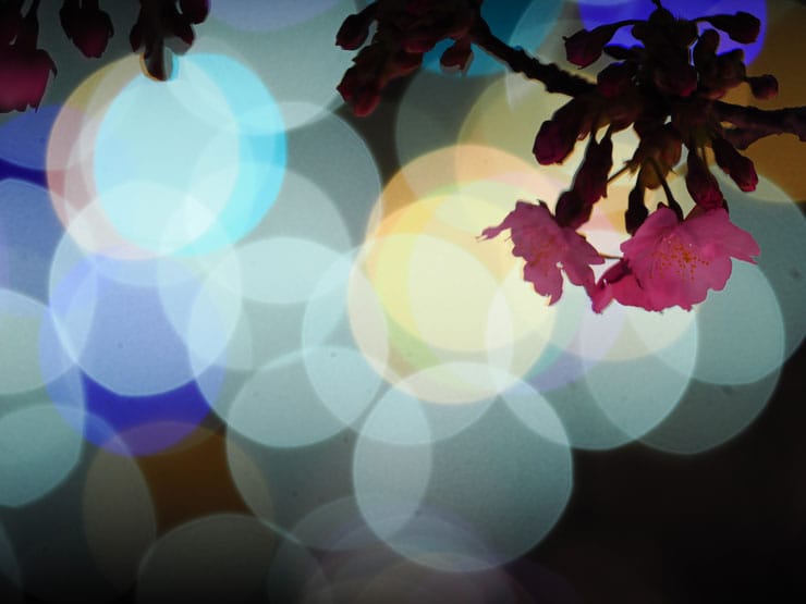 OM SYSTEM M.ZUIKO DIGITAL ED 50-200mm F2.8 IS PRO作例：イルミネーションに浮かび上がる桜
