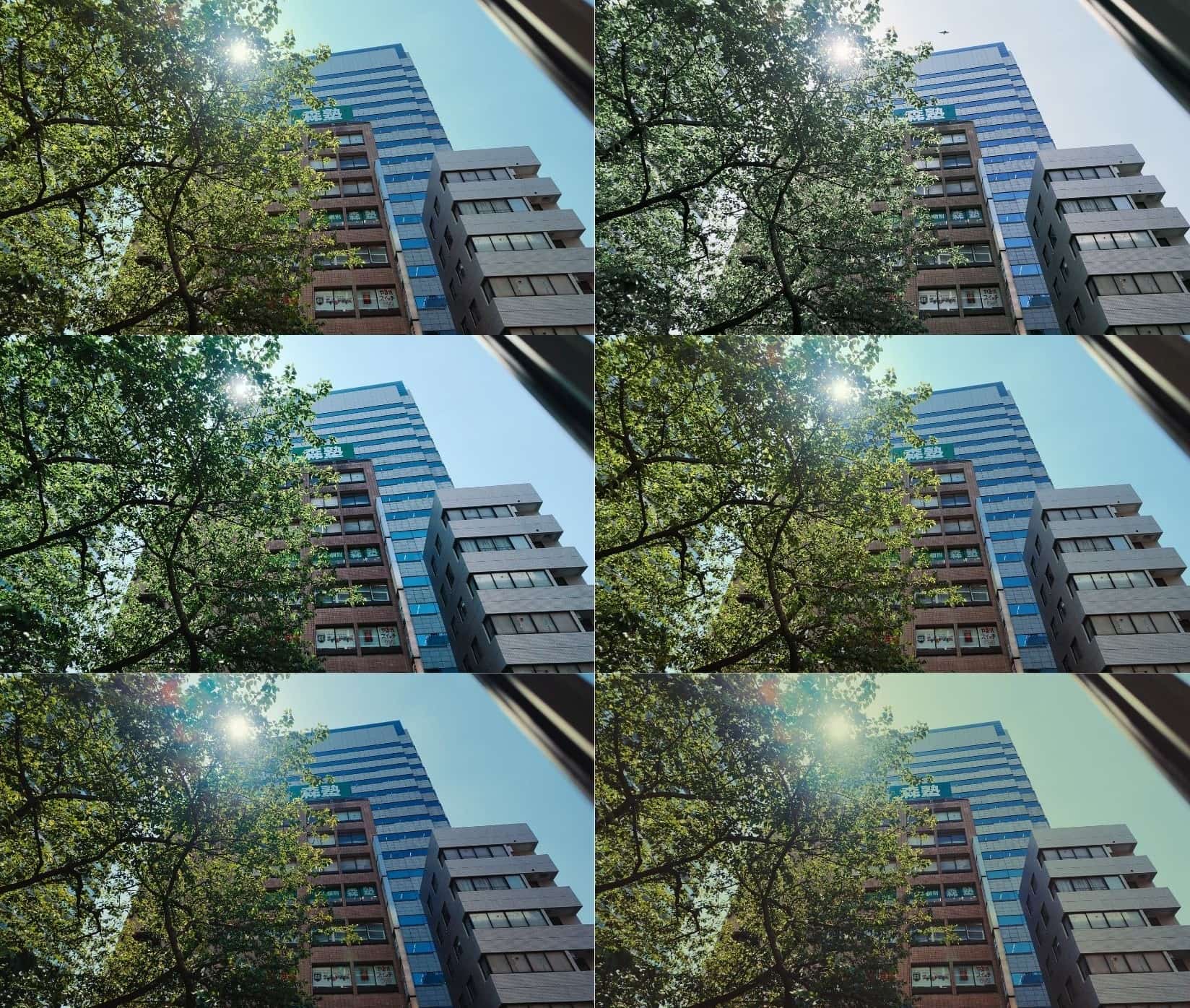 フィルムトーン6種類の作例