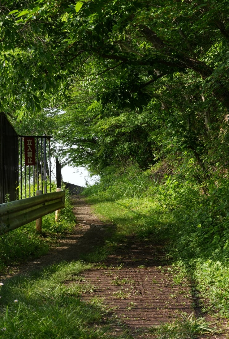 SONY α7R VIの作例