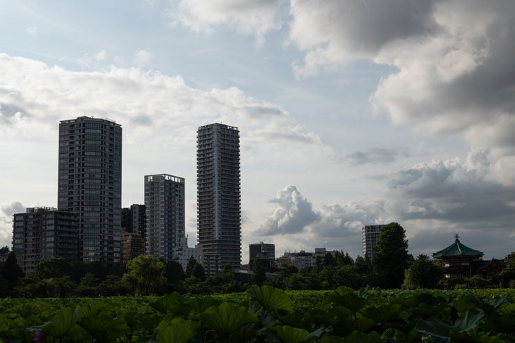 Leica SL3-P作例:ビルと空
