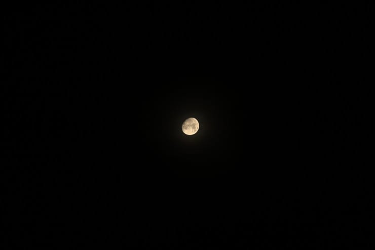 200mmの作例