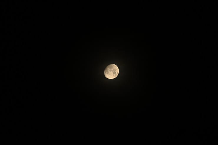 300mmの作例