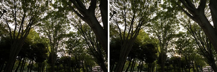 フリンジテスト F2.8とF5.6