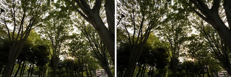 フリンジテスト F8とF11