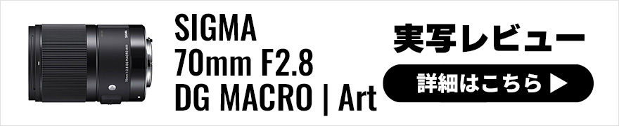 SIGMA (シグマ) 70mm F2.8 DG MACRO | Art 実写レビュー