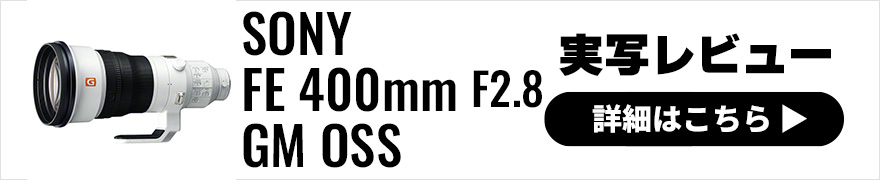 SONY (ソニー) FE 400mm F2.8 GM OSS 実写レビュー