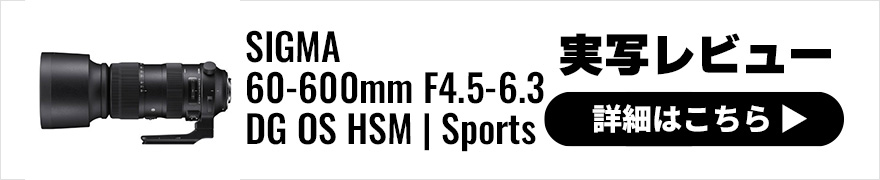 SIGMA (シグマ) 60-600mm F4.5-6.3 DG OS HSM | Sports 実写レビュー