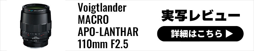Voigtlander (フォクトレンダー) MACRO APO-LANTHAR 110mm F2.5 E-mount 実写レビュー