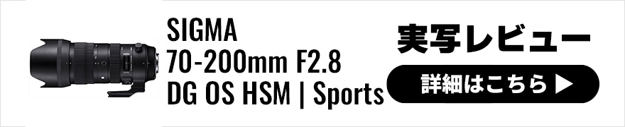 SIGMA (シグマ) 70-200mm F2.8 DG OS HSM | Sports 実写レビュー