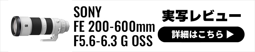 SONY (ソニー) FE 200-600mm F5.6-6.3 G OSS 実写レビュー