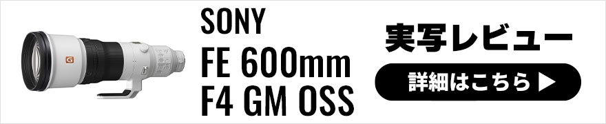 SONY (ソニー) FE 600mm F4 GM OSS 実写レビュー