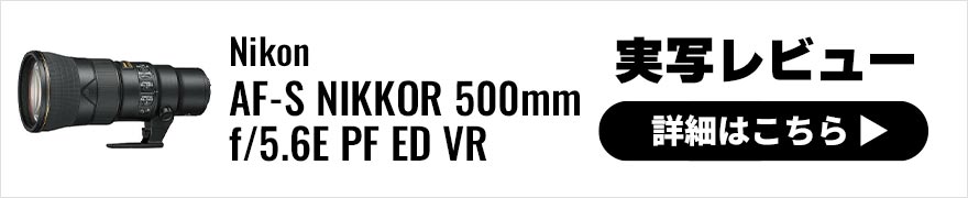 Nikon（ニコン） AF-S NIKKOR 500mm f/5.6E PF ED VR 実写レビュー