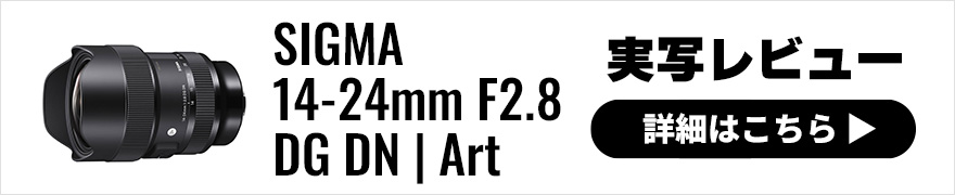 SIGMA (シグマ) 14-24mm F2.8 DG DN | Art 実写レビュー