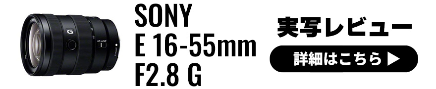 SONY (ソニー) E 16-55mm F2.8 G 実写レビュー