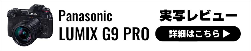 Panasonic (パナソニック) LUMIX G9 PRO ファームアップデート ver.2.0 で動画機能が大幅強化