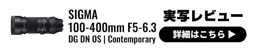 SIGMA (シグマ) 100-400mm F5-6.3 DG DN OS | Contemporary 実写レビュー