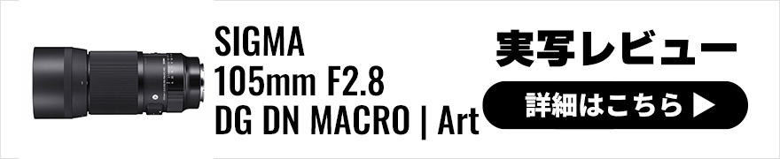 カミソリを超えるか！？SIGMA(シグマ) 105mm F2.8 DG DN MACRO | Art 実写レビュー