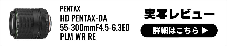 HD PENTAX(ペンタックス)-DA 55-300mmF4.5-6.3ED PLM WR RE 実写レビュー