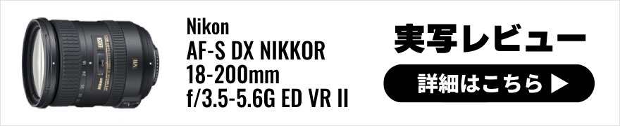 Nikon(ニコン) AF-S DX NIKKOR 18-200mm f/3.5-5.6G ED VR II実写レビュー
