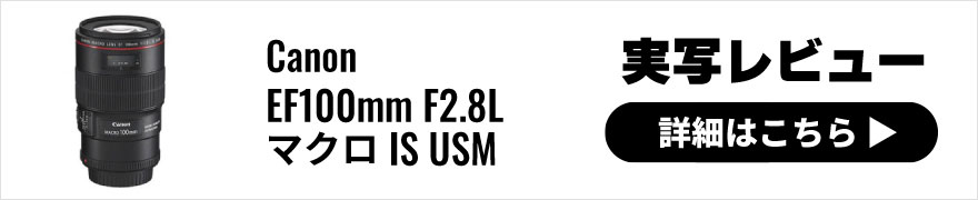 Canon(キヤノン)EF100mm F2.8Lマクロ IS USM 実写レビュー