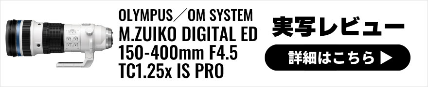 OLYMPUS(オリンパス) M.ZUIKO DIGITAL ED 150-400mm F4.5 TC1.25x IS PRO 実写レビュー