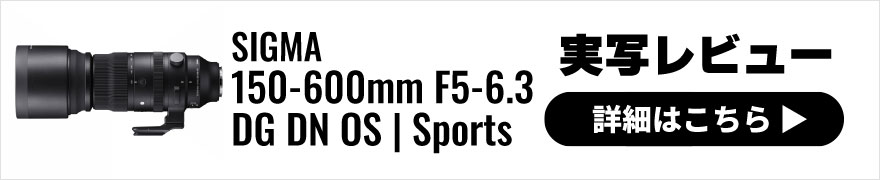 SIGMA(シグマ) 150-600mm F5-6.3 DG DN OS | Sports 実写レビュー
