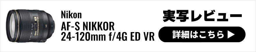 Nikon(ニコン) AF-S NIKKOR 24-120mm f/4G ED VR 実写レビュー