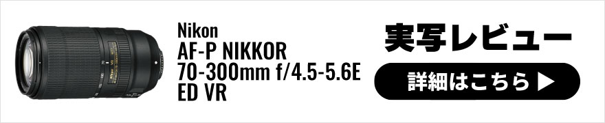 Nikon (ニコン) AF-P NIKKOR 70-300mm f/4.5-5.6E ED VR 実写レビュー