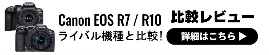 Canon (キヤノン) EOS R10・RF-S18-45 IS STM レンズキット｜ミラー 