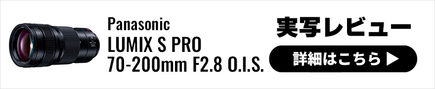 Panasonic (パナソニック) LUMIX S PRO 70-200mm F2.8 O.I.S. 実写レビュー