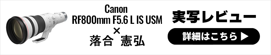 Canon RF800mm F5.6 L IS USM レビュー 【 前編 】× 落合憲弘 | 最旬キヤノン超望遠RFレンズを味わい尽くせ！