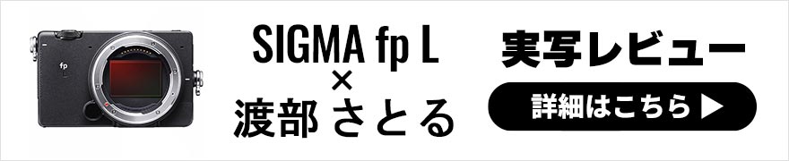 SIGMA fp L レビュー× 渡部さとる【静止画編】| 高画質でありながら小型軽量なスナップカメラ