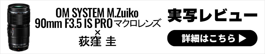 OM SYSTEM M.ZUIKO DIGITAL ED 90mm F3.5 Macro IS PROレビュー × 荻窪 圭｜ネイチャー撮影に最適な高性能望遠マクロレンズ