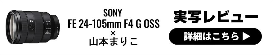SONY FE 24-105mm F4 G OSS 〔SEL24105G〕｜フジヤカメラ