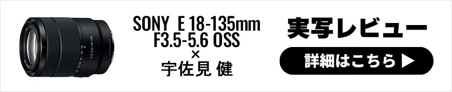 SONY E 18-135mm F3.5-5.6 OSS レビュー × 宇佐見健｜機動力が魅力のAPS-Cセンサーα用標準ズーム