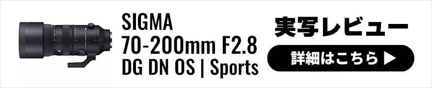 SIGMA 70-200mm F2.8 DG DN OS | Sports 実写レビュー