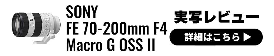 SONY FE 70-200mm F4 Macro G OSS II レビュー × 鹿野貴司｜高画素機の能力を存分に引き出す軽量コンパクトな望遠ズームレンズ