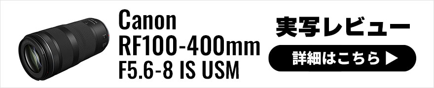Canon RF100-400mm F5.6-8 IS USM 実写レビュー