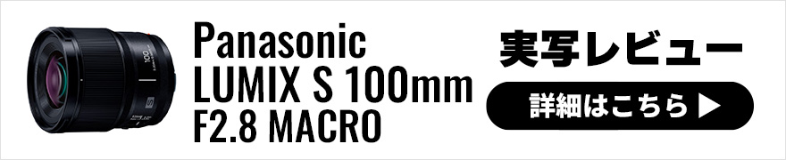 Panasonic LUMIX S 100mm F2.8 MACRO 実写レビュー