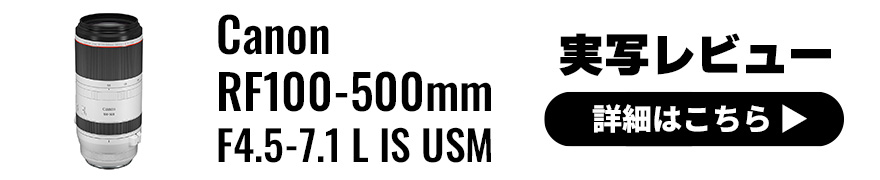 Canon RF100-500mm F4.5-7.1 L IS USM 実写レビュー