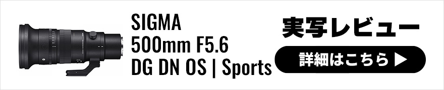  SIGMA 500mm F5.6 DG DN OS | Sports 実写レビュー 